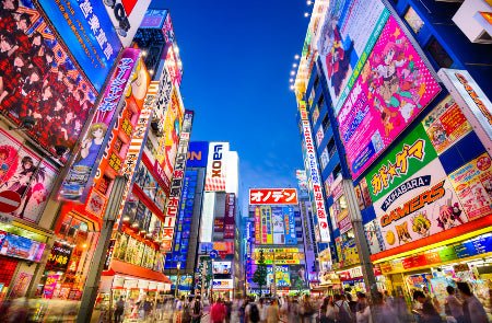 Rondreis JAPAN COMPLEET - 29 dagen; Samurai, sashimi en shinkansen