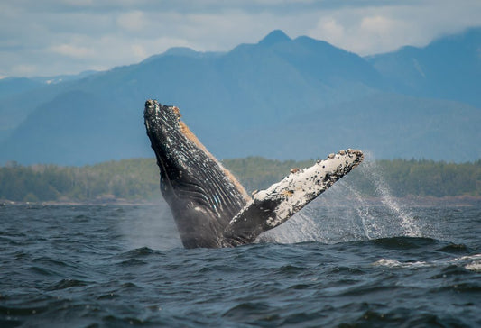 Grand Tour West-Canada