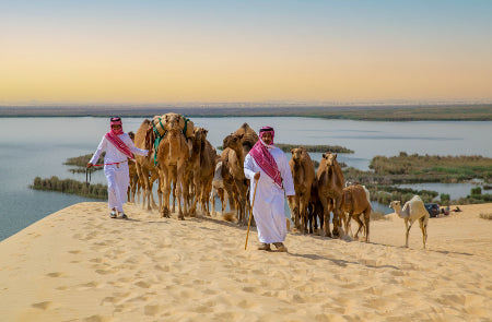 Rondreis SAOEDI-ARABIË, QATAR & BAHREIN - 15 dagen; Van de Rode Zee naar de Perzische Golf