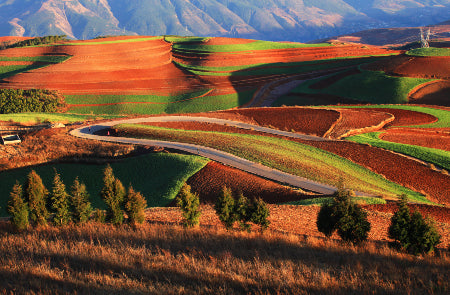 Rondreis CHINA: YUNNAN - 22 dagen; Langs de Zuid-Chinese theeroute