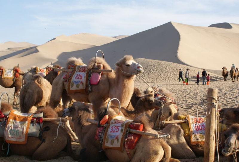 De Zijderoute van Marco Polo