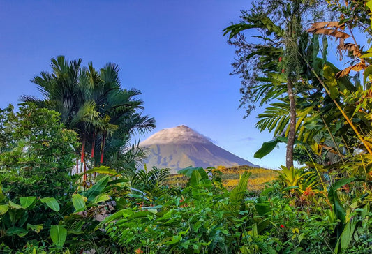 Best Deal Costa Rica Nevelwouden en Vulkanen