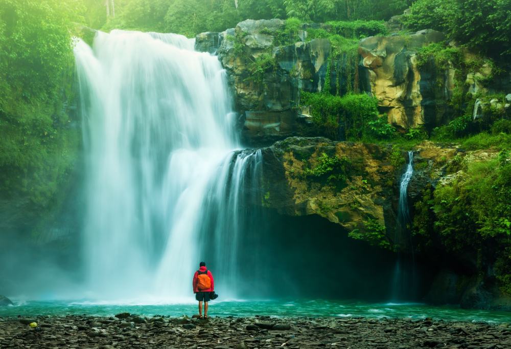 Highlights Puur Costa Rica