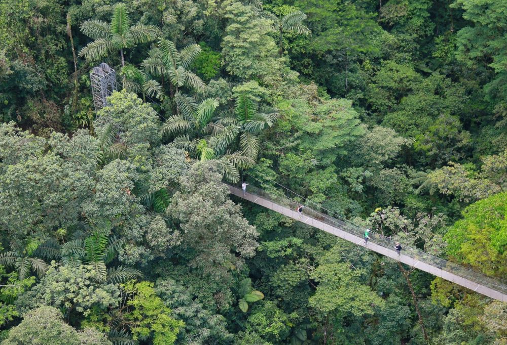 Highlights Puur Costa Rica en Panama