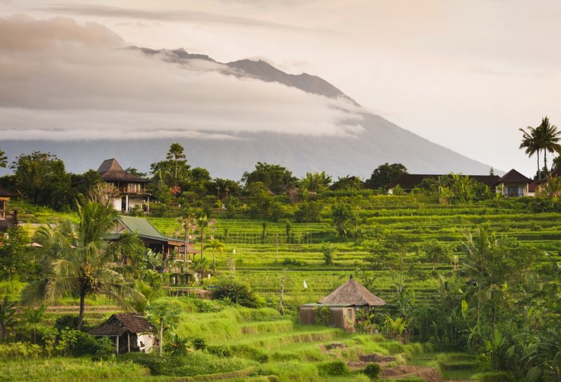 Bali Roulette