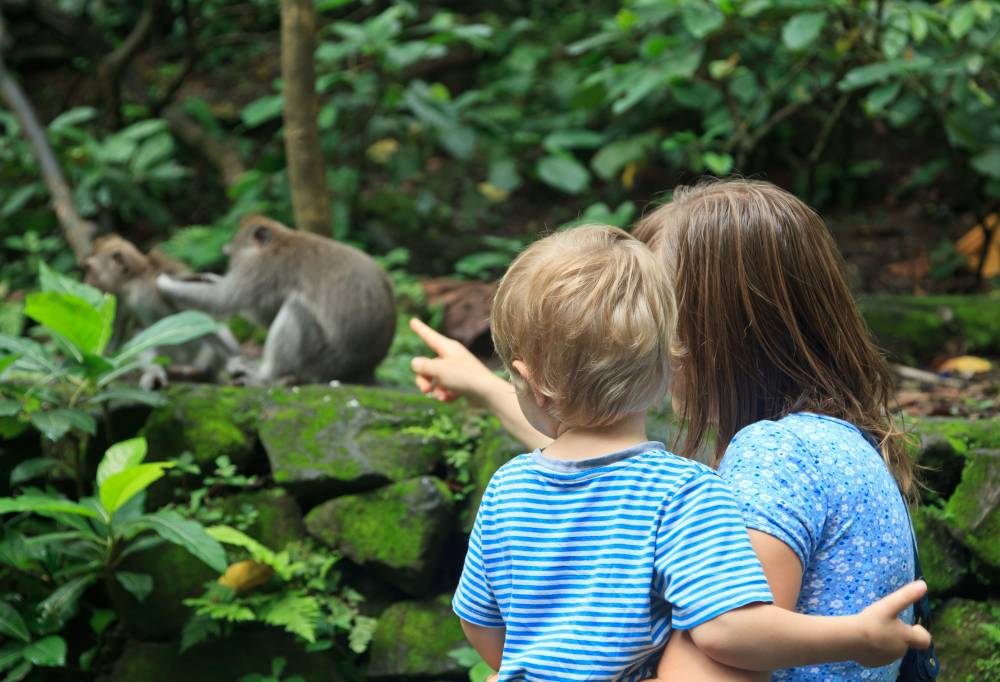 Bali's dieren, natuur en stranden