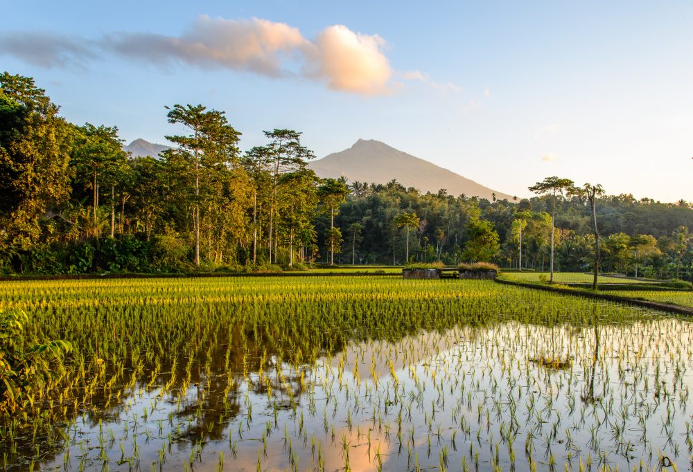 Bali en Lombok
