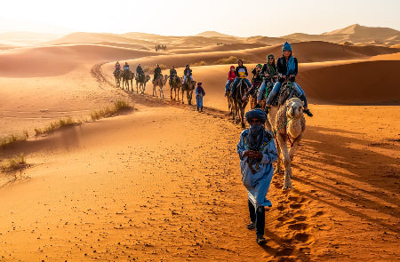 Rondreis MAROKKO - 8 dagen; Ervaringen uit 1001 Nacht