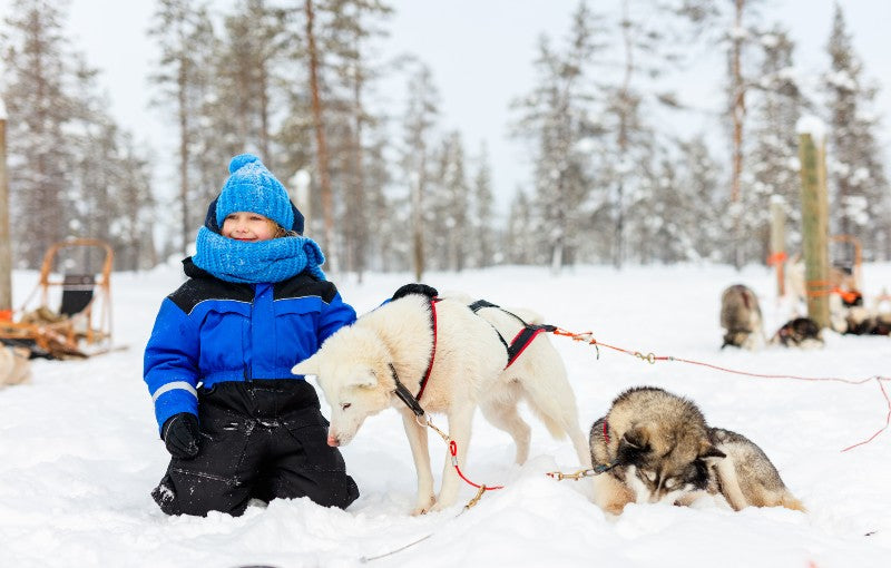 Familiereis FINLAND: LAPLAND - 7 dagen; Winters noorden