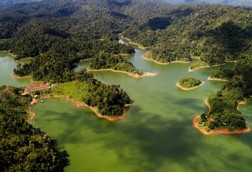 De natuur van Belum Rainforest