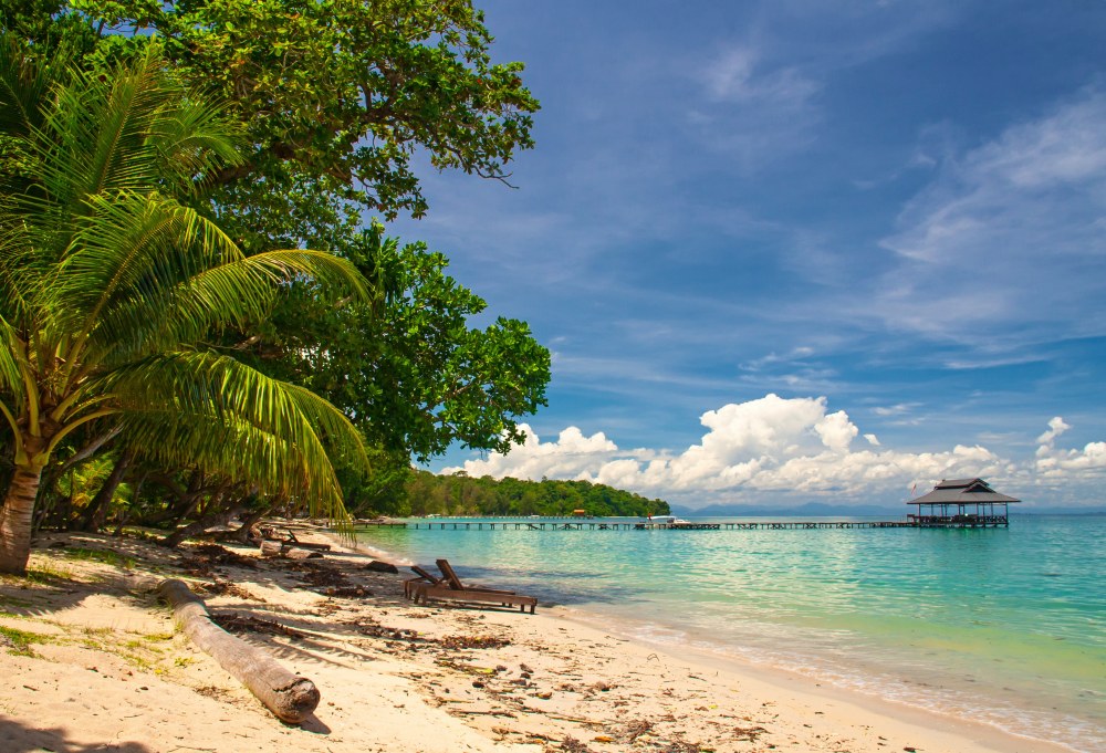Sabah: Highlights & jungle van Borneo