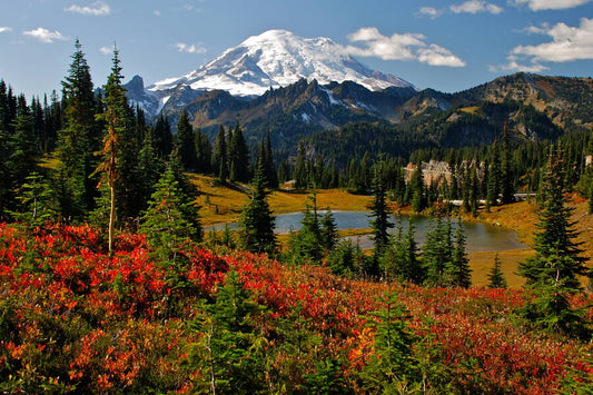 23 Daagse autorondreis America The Rockies