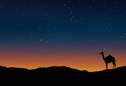 Slapen onder de sterren van Wahiba Sands