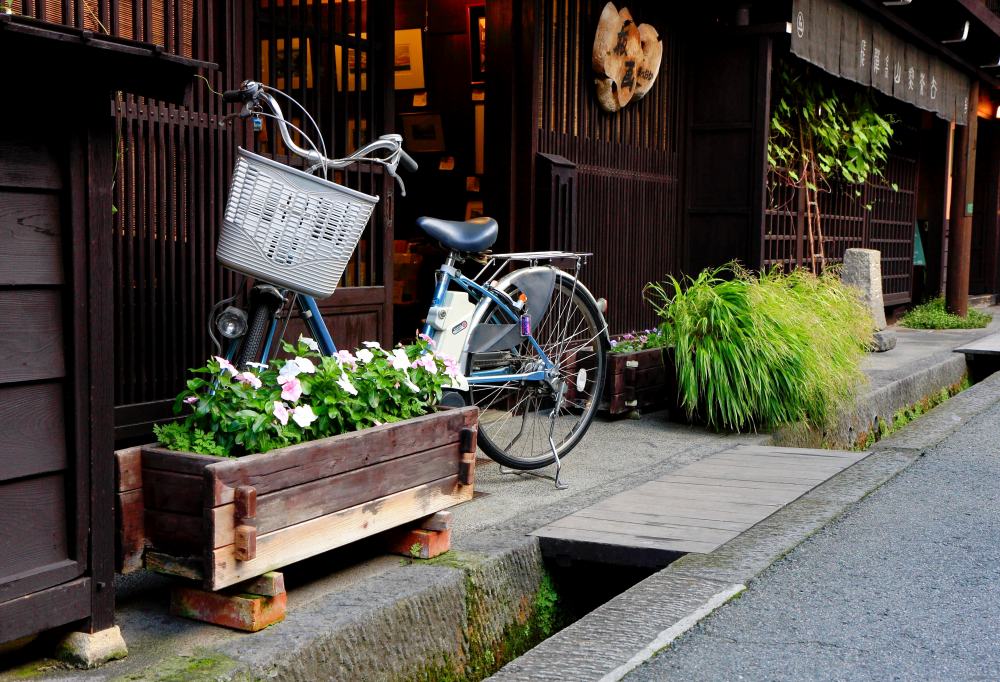 Excursie: Kyoto per fiets