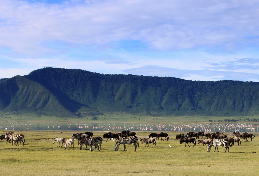Safari Tanzania Highlights Deluxe