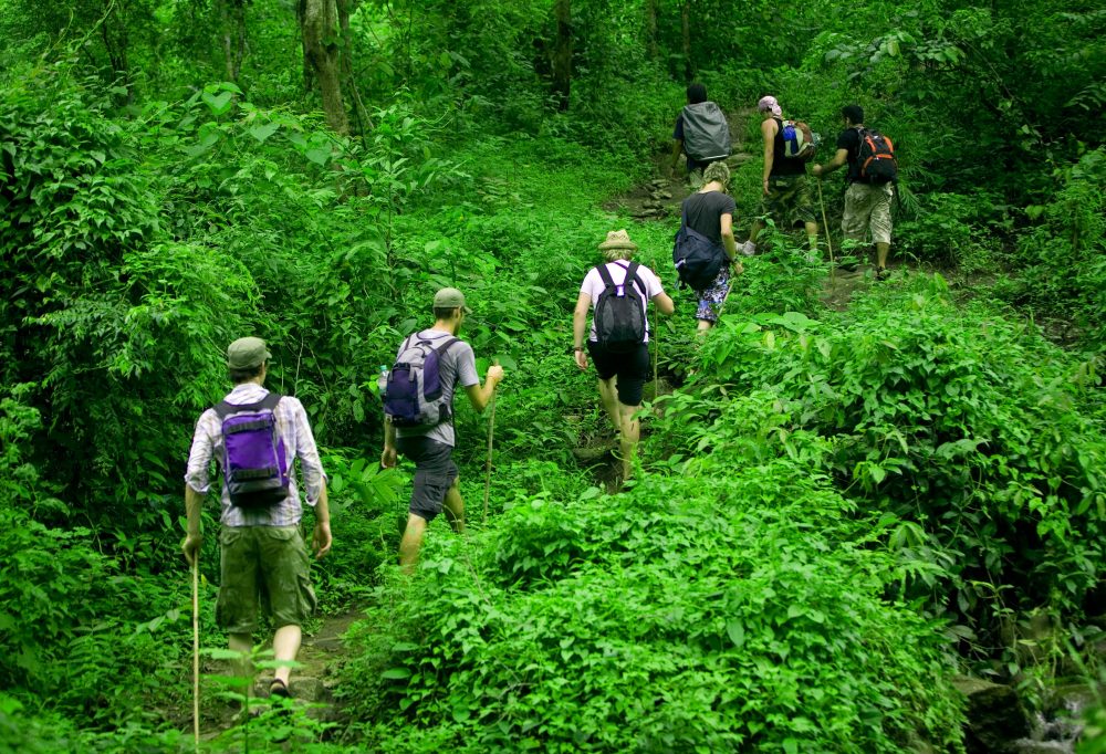 Chiang Mai Jungle Trekking