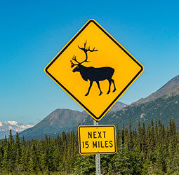 Groepsrondreis Alaska en Yukon - Kampeer/hotel reis