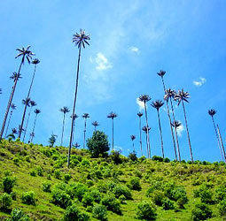 Groepsrondreis Colombia