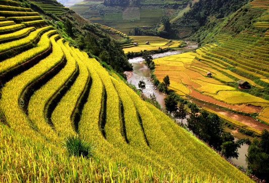 Grand Tour Vietnam Deluxe