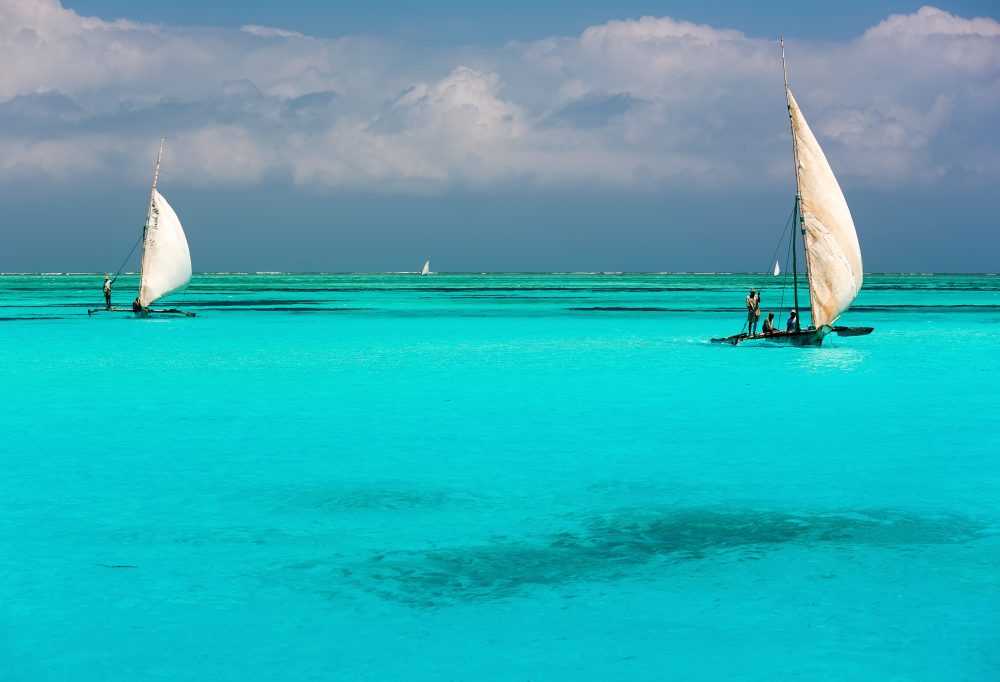 Ultiem Safari & Strand Tanzania Deluxe