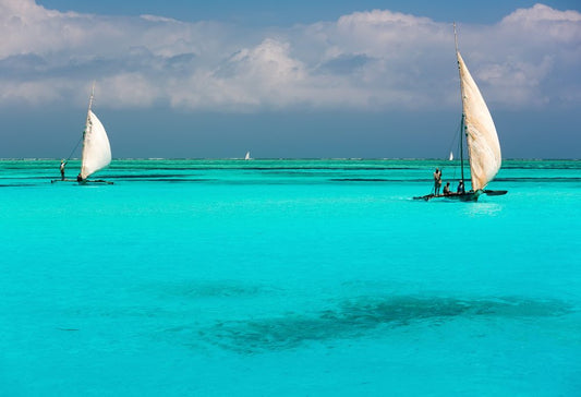 Ultiem Safari & Strand Tanzania Deluxe