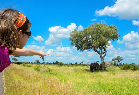 Bush & Beach in Kwazulu-Natal